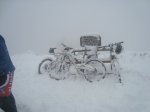 NIEVE8.jpg