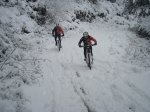 NIEVE 3.jpg
