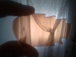 ImageUploadedByTapatalk1361712051.281071.jpg