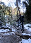 IMG_8241.JPG