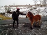 IMG_20130224_112431_1012x759.jpg