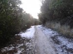 2013-02-24 08.51.43.jpg