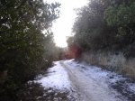 2013-02-24 08.53.13.jpg