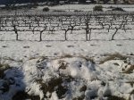 2013-02-24 10.23.11.jpg