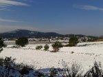 2013-02-24 10.23.58.jpg