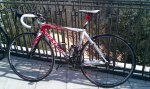 IMAG0270.jpg