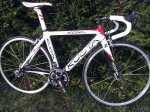 kuota11.jpg