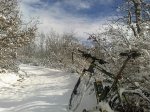 sized_22012013087.JPG