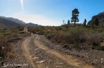 IMG_6652.jpg