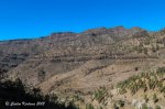 IMG_6687.jpg
