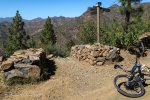 IMG_6732.jpg