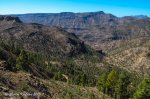 IMG_6740.jpg
