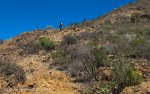 IMG_6741.jpg