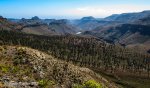 IMG_6748.jpg