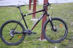 bici entera.jpg