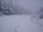 IMG-20130224-WA0017.jpg