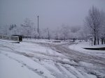 IMG-20130224-WA0041.jpg
