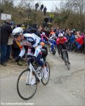 roelandts.jpg