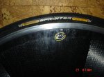 DSC01981 - copia.JPG