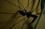 DSC07031.JPG