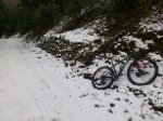 DSC_0976.JPG