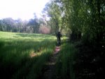 PHOT0026.JPG