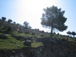 IMG_1371_redimensionar.jpg