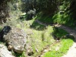 DSC00408_redimensionar.JPG