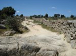 DSC00418_redimensionar.JPG