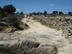 DSC00420_redimensionar.JPG