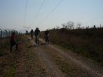 Carrera Arriondas 014.jpg