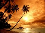 puesta-de-sol-en-la-playa.jpg
