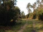 Barro3.jpg