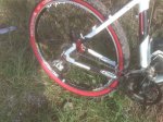 mavic trasera 1024.jpg