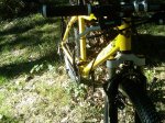 IMG00197-20101017-1303.jpg