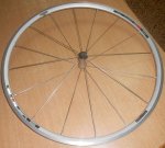 DSCN0803.JPG