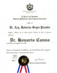 honoris_causa_segre.jpg