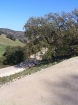 DSC_7840.jpg