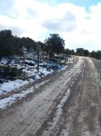 DSC_7867.jpg