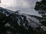 Foto0068.jpg