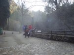DSC02333.JPG