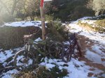 DSC02334.JPG