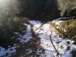 DSC02337.JPG