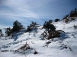 IMG_4297 (Copiar).JPG
