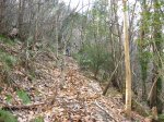 IMG_4333 (Copiar).JPG