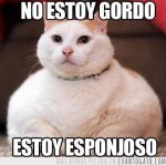 CG_1773_no_estoy_gordo.jpg
