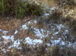IMG-20130226-WA000.jpg