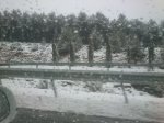 IMG-20130228-WA001.jpg