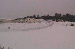 IMG-20130228-WA011.jpg