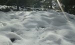 IMG-20130302-WA001.jpg
